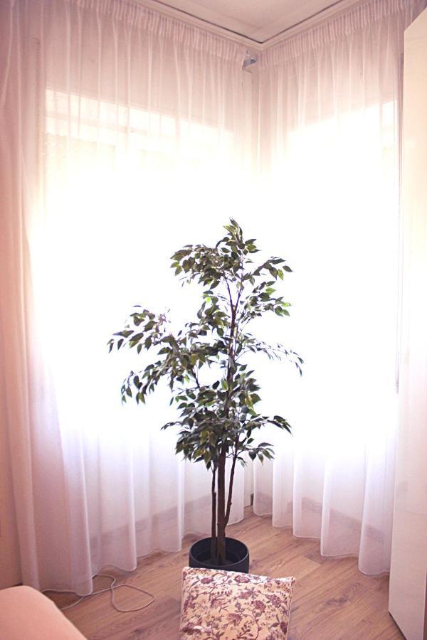הוילה מאיורי Casa Roro מראה חיצוני תמונה